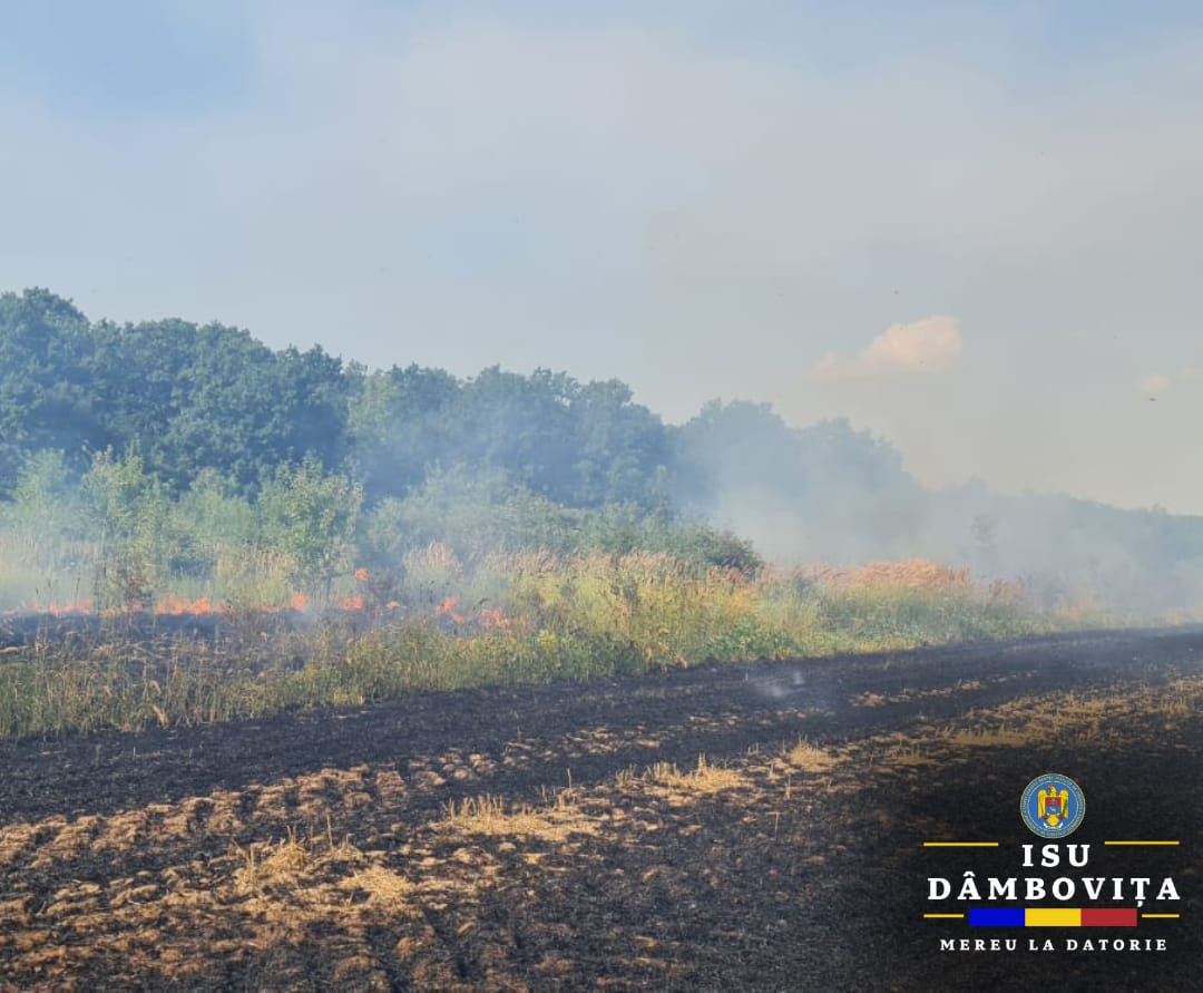 Incendiu de vegetație uscată în localitatea Mătăsaru