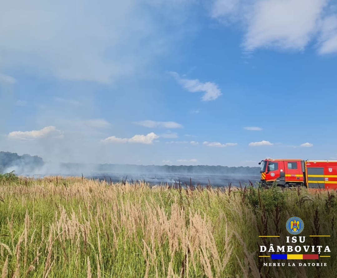 Incendiu de vegetație uscată în localitatea Mătăsaru