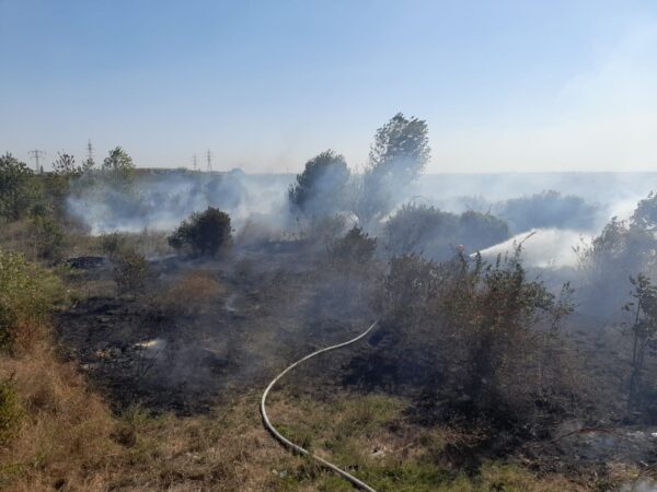Incendiu de vegetație uscată în satul Bălteni