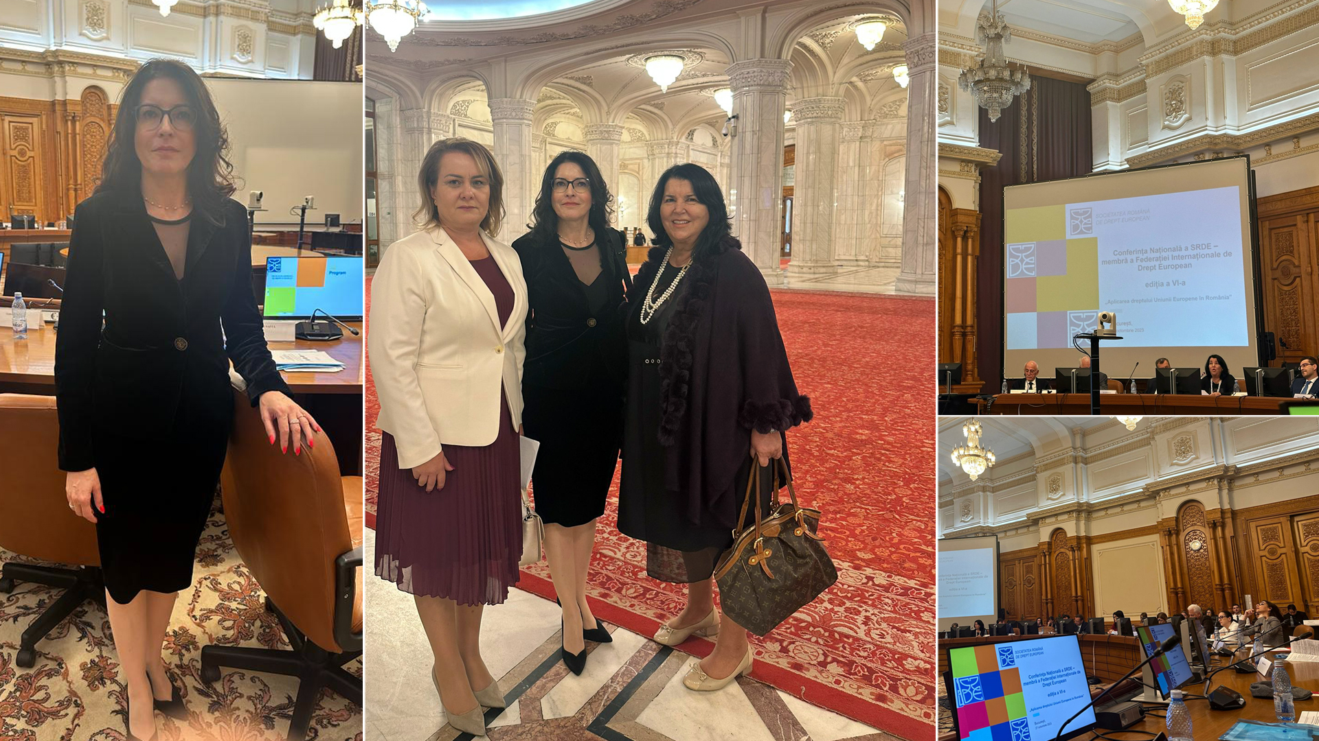 Conf. univ. dr. av. Denisa Barbu și conf. univ. dr. Constanța Mătușescu au avut onoarea să reprezinte Universitatea "Valahia" din Târgoviște la Conferința Națională de Drept European, cu participare internațională, în cea de-a șasea ediție.