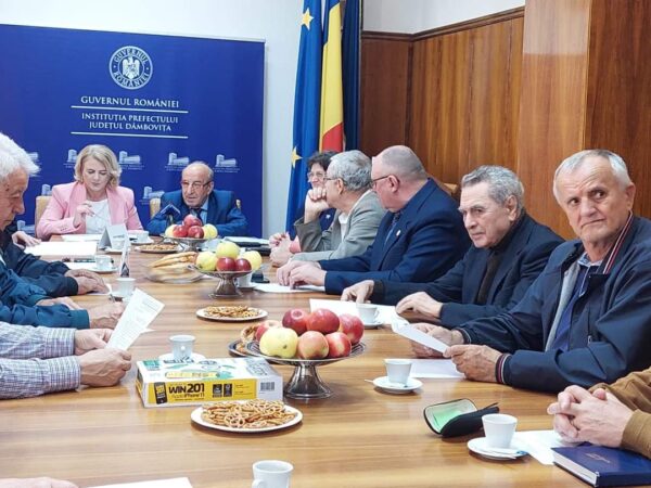 Ședința Comitetului Consultativ de Dialog Civic pentru Problemele Persoanelor Vârstnice, discuțiile au avut în vedere asigurarea necesarului de medici în toate localitățile din județul Dâmbovița
