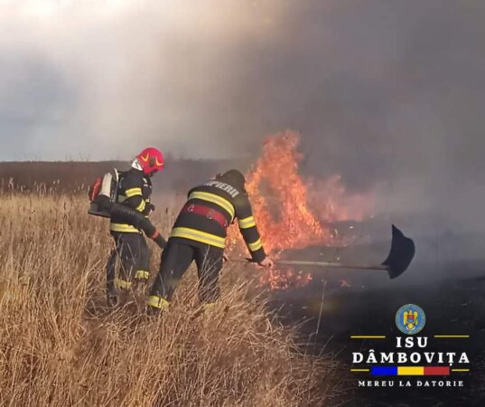În ultimele două zile, ISU Dâmbovița a fost solicitat să intervină pentru stingerea a peste 20 de incendii de vegetație uscată