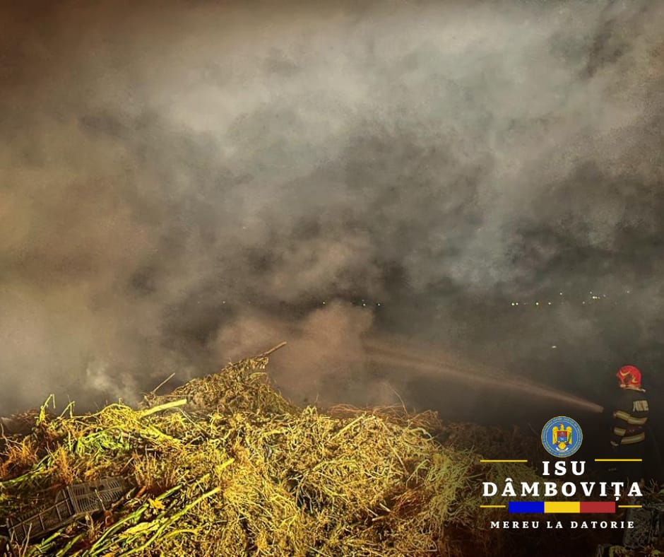 Pompierii intervin pentru stingerea unui incendiu de gunoi menajer în Băleni-Sârbi, prima alertă a fost dată în cursul zilei de vineri.