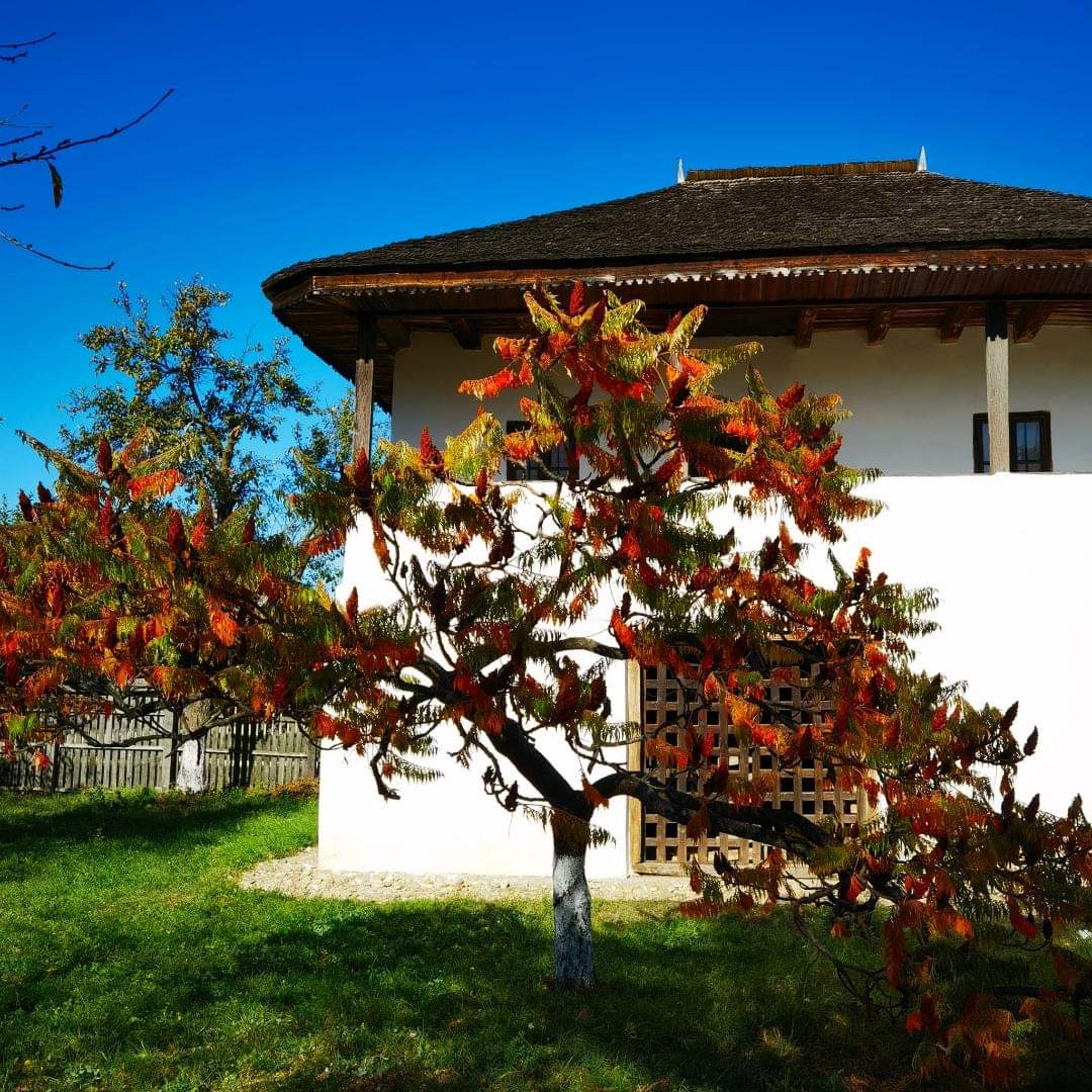 Imagini de poveste: Toamna la Muzeul Golești