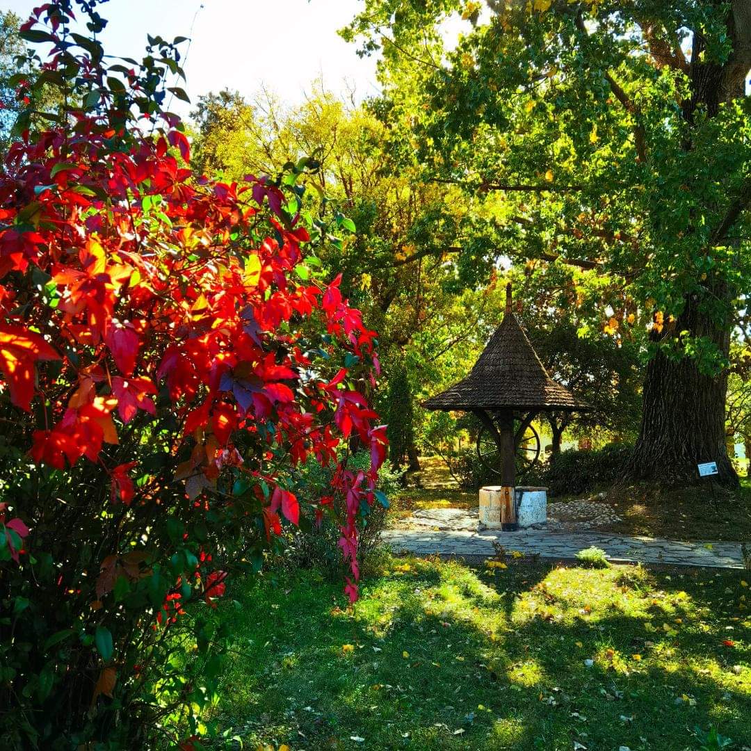 Imagini de poveste: Toamna la Muzeul Golești