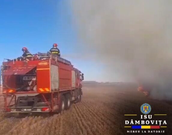 Opriți arderea vegetației uscate.VIDEO