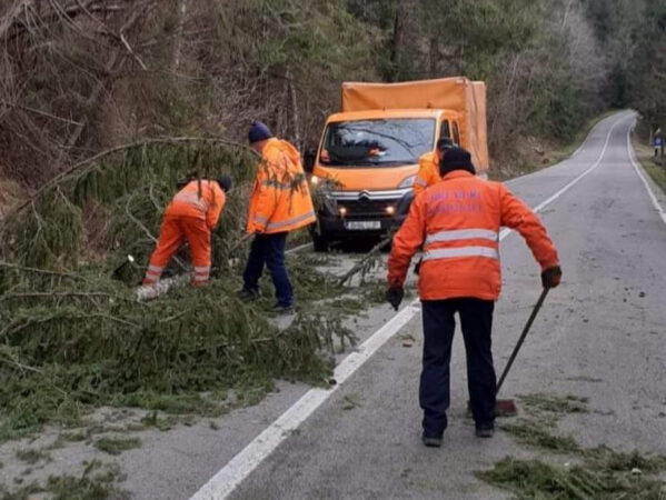 Arbori doborâți de vântul puternic în unele zone din țară