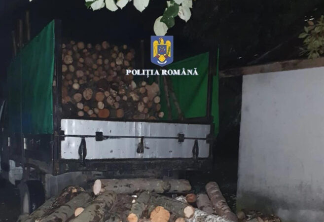 Material lemnos indisponibilizat de polițiștii din Găești