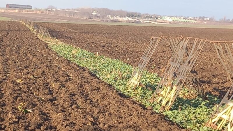 Furt de panouri parazăpezi, în ultima zi din an! Furt de panouri parazăpezi, în ultima zi din an, hoții nu au stat prea mult pe gânduri și au dat atacul.