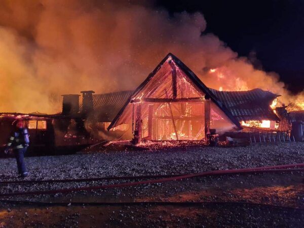 A fost reținut Cornel Dinicu în dosarul incendiului de la Ferma Dacilor A fost reținut Cornel Dinicu în dosarul incendiului de la Ferma Dacilor, astăzi au avut loc percheziții și audieri.