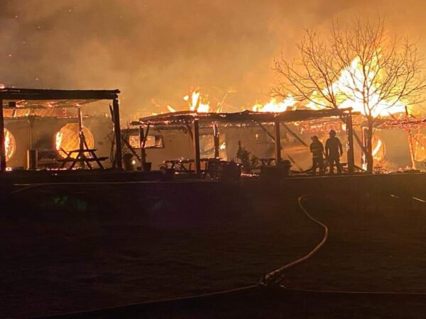 Patronul de la Ferma Dacilor, Cornel Dinicu a fost arestat pentru 30 de zile Patronul de la Ferma Dacilor, Cornel Dinicu a fost arestat preventiv pentru 30 de zile, asta au decis magistraţii de la Judecătoria Ploieşti,