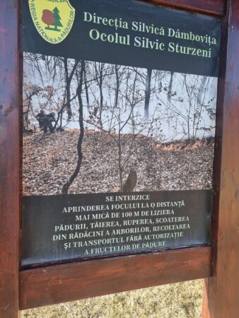 ATENȚIE! Riscul de producere și de propagare a incendiilor în pădure este foarte ridicat