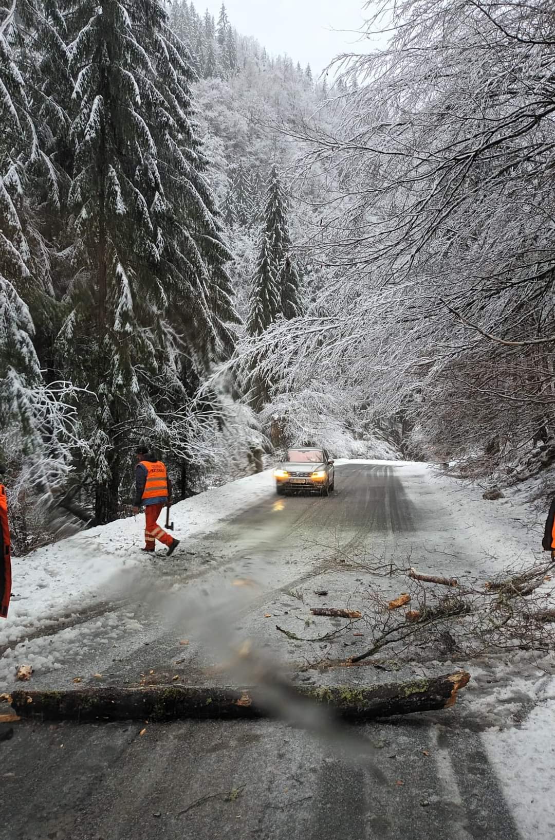 Iarna își  făcea simțita prezența în forță, arbori căzuți pe șosea din cauza zăpezii, drumarii  intervin pe DN 7A limita 