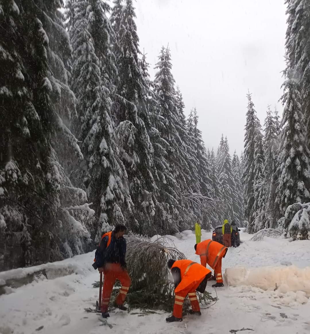 Iarna își făcea simțita prezența în forță, arbori căzuți pe șosea din cauza zăpezii, drumarii intervin pe DN 7A limita