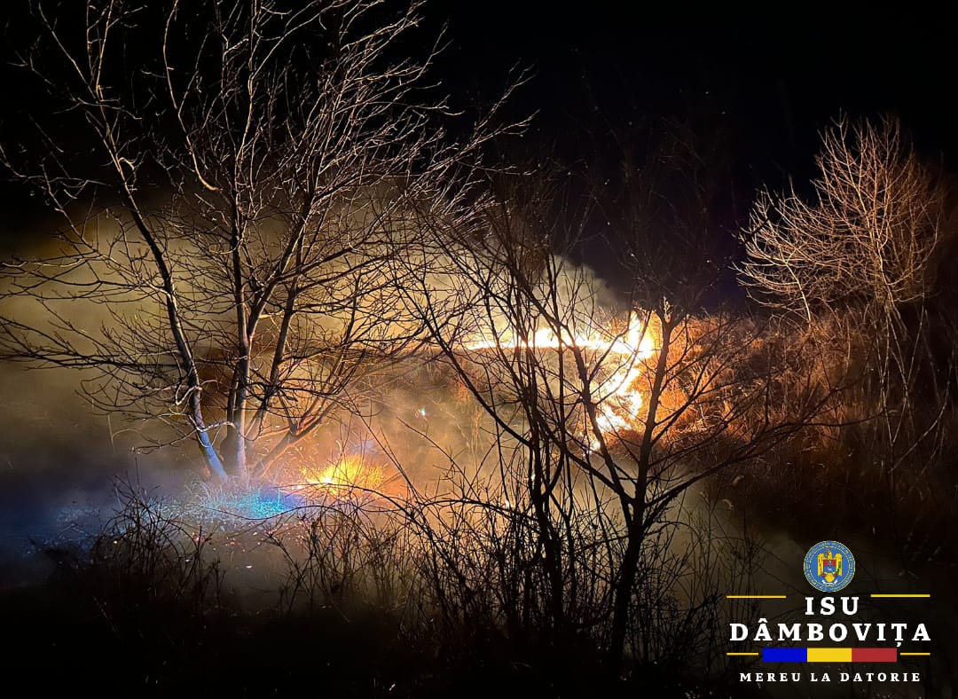 APEL  la cetățeni!ISU Dâmbovița le reamintește cetățenilor că arderea vegetației uscate și a resturilor vegetale este STRICT INTERZISĂ