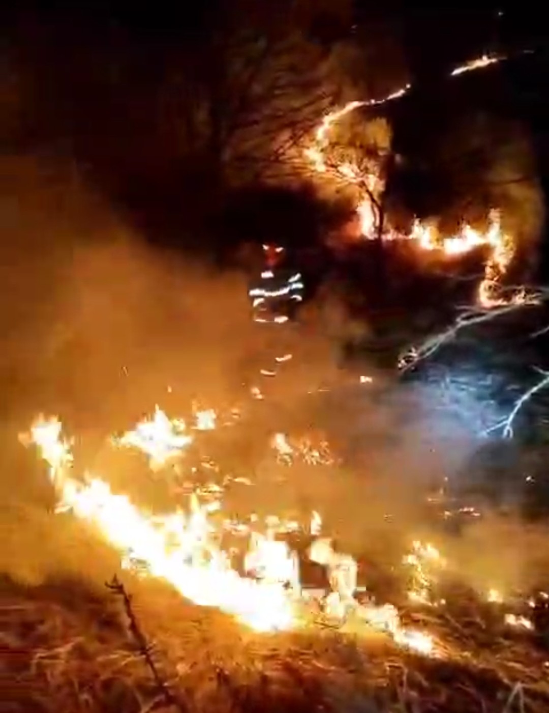 Incendiu puternic de vegetație uscată în localitatea Scheiu de Sus, pompierii s-au luptat cu flăcările, zeci de minute.