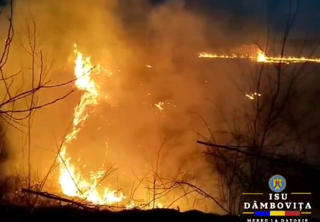 Incendiu de vegetație uscată în Comuna Gura Foii, sat Catanele, a intetvenit Detașamentul de Pompieri Găești 