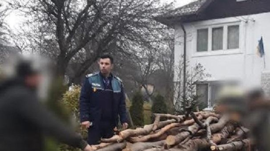 Furturile de material lemnos sunt în vizorul polițiștilor dâmbovițeni, pe parcursul zilei de ieri, 11 martie, polițiștii din cadrul Secției