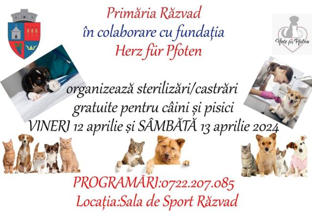 IMPORTANT: Primăria Răzvad în colaborare cu fundația Herz für Pfoten organizează Primăria Răzvad în colaborare cu fundația Herz für Pfoten organizează vineri -12 aprilie și sâmbătă -13 aprilie, sterilizări gratuite pentru câini şi pisici!