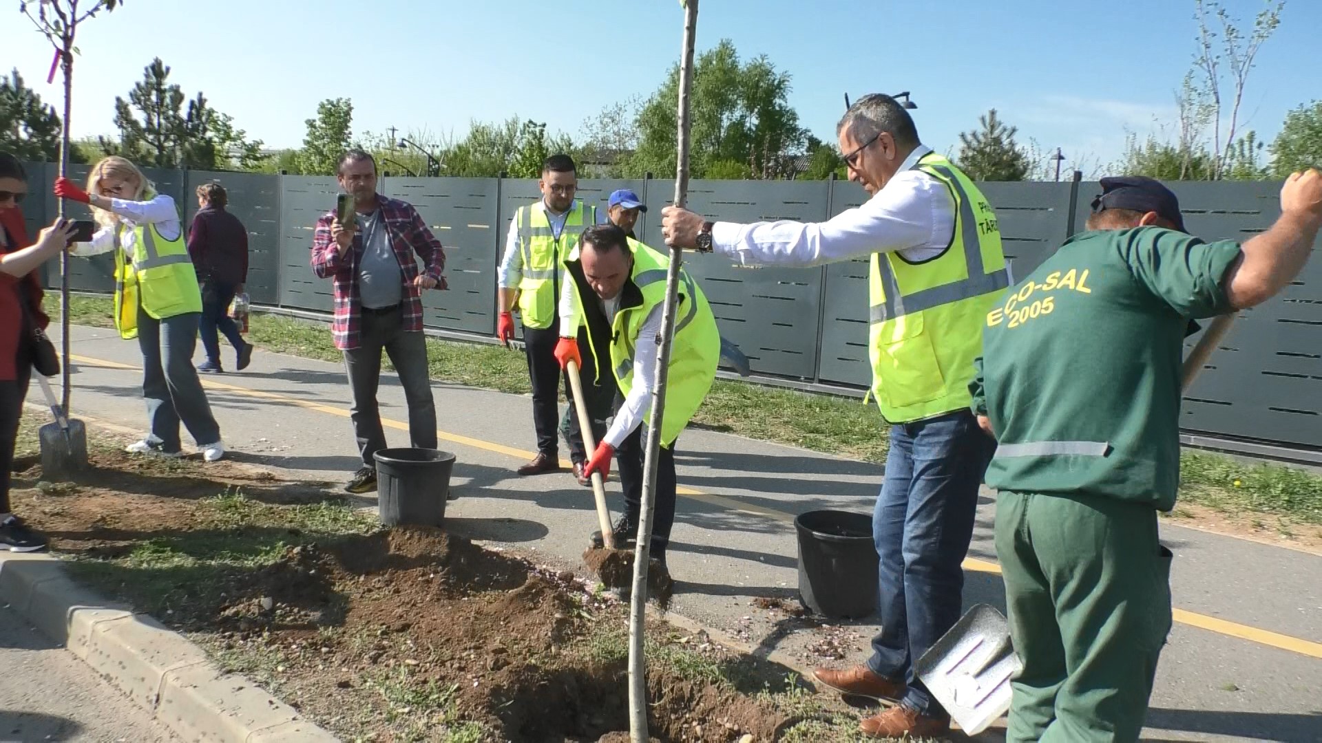 450 de cireși japonezi au fost plantați pe Bulevardul "Regele Ferdinand" din Târgoviște, este vorba despre zona Dâmbovița Mall.