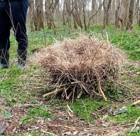 120 de cuiburi artificiale pentru păsări au fost montate în cadrul unui proiect cu finanțare europeană 120 de cuiburi artificiale pentru păsări au fost montate în cadrul unui proiect cu finanțare europeană, de către Administrația Parcului Natural Lunca Mureșului.