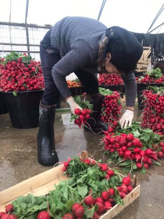 Alți bani, altă distrație de la 1 iulie: Taxă pentru micii producători agricoli, cei care își fac pe cont propriu transportul produselor ANAF propune impozit suplimentar pentru transportul recoltelor proprii de către agricultorii care operează cu atestate și carnete de producător.