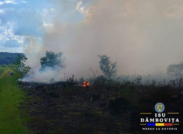 Incendiu de vegetație în comuna Voinești, astăzi, în jurul orei 17:49, Garda de Intervenție Voinești a fost alertată să intervină în cazul un incendiu de vegetație uscată în localitate.