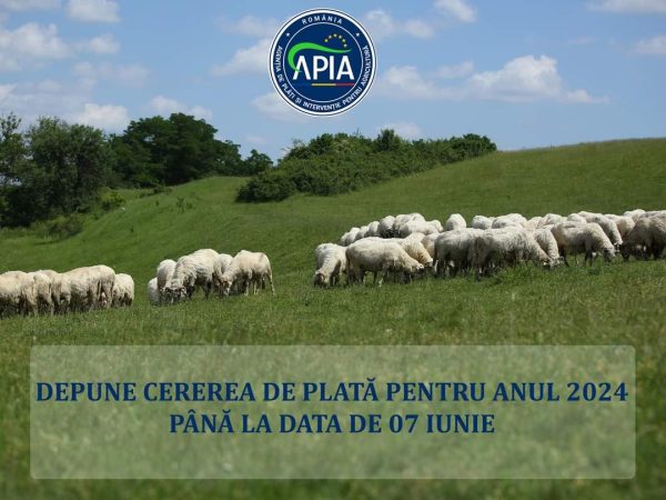 Depune la APIA cererea de plată aferentă Campaniei 2024 până cel târziu pe data de 07 iunie APIA invită toți fermierii care nu au depus încă cererea de plată, la centrele locale și județene ale agenției pentru finalizarea procesului de depunere a documentației.
