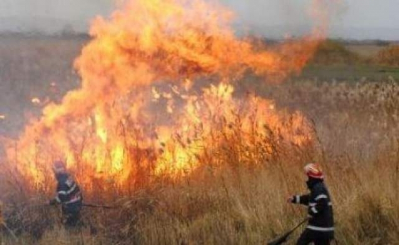 Detașamentul de Pompieri Găești a intervenit  în cazul un incendiu puternic de vegetație uscată