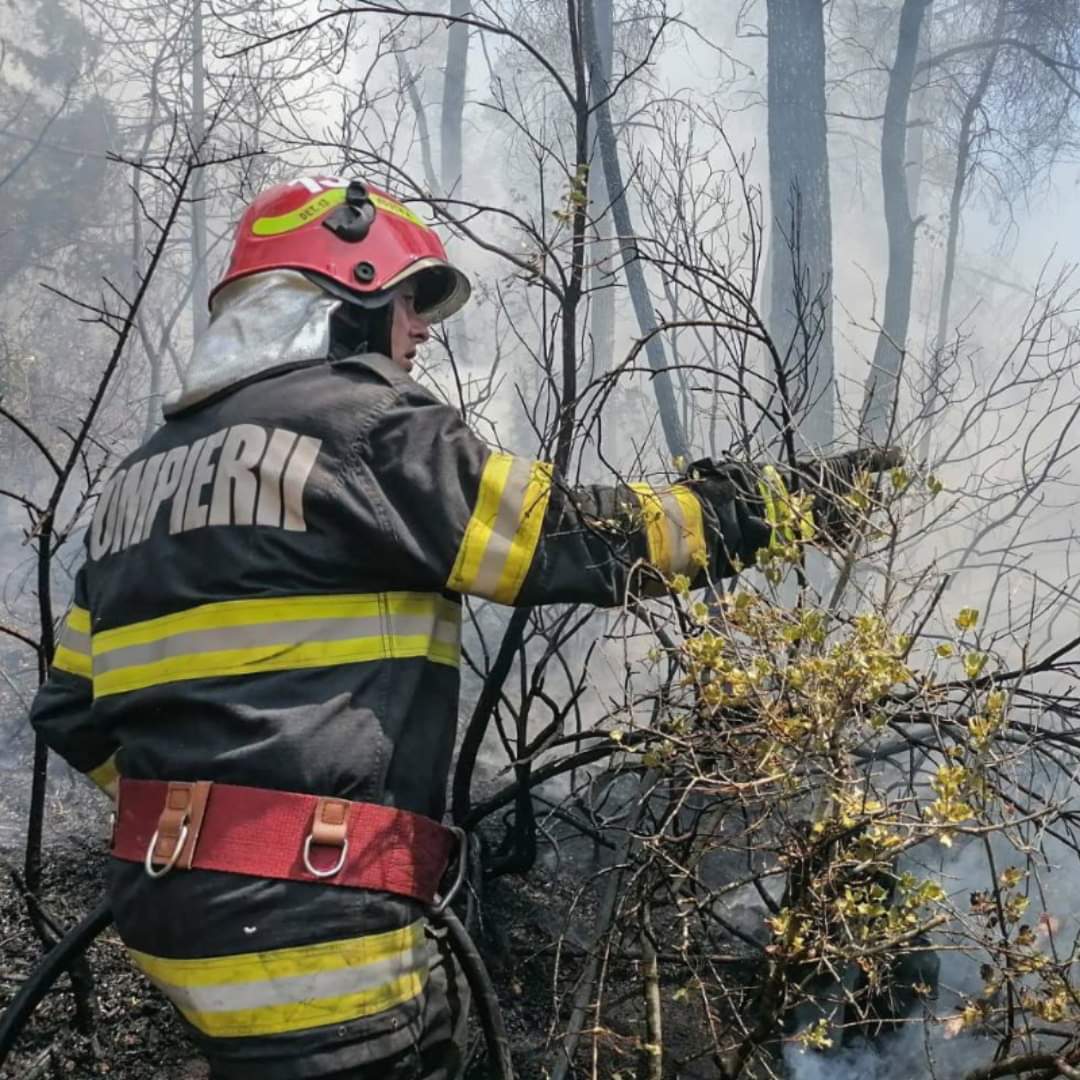 EVITAȚI O TRAGEDIE:STOP INCENDIILOR DE VEGETAȚIE , în  acest weekend, pompierii au stins peste 300 de incendii de vegetație, ce au afectat o suprafață de teren de peste 1.000 ha