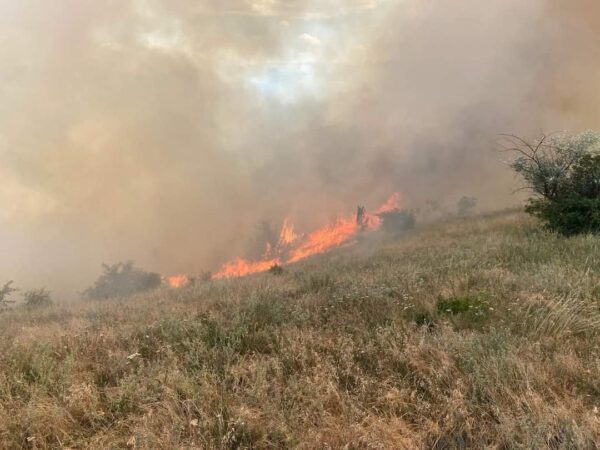 APELUL DISPERAT al POMPIERILOR: NU MAI DAȚI FOC LA VEGETAȚIE în plină CANICULĂ APELUL DISPERAT al POMPIERILOR: NU MAI DAȚI FOC LA VEGETAȚIE în plină CANICULĂ , 140 DE INCENDII DE VEGETAȚIE