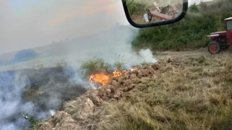 Luptă contracronometru cu un incendiu izbucnit pe izlazul Siliștea din comuna Raciu