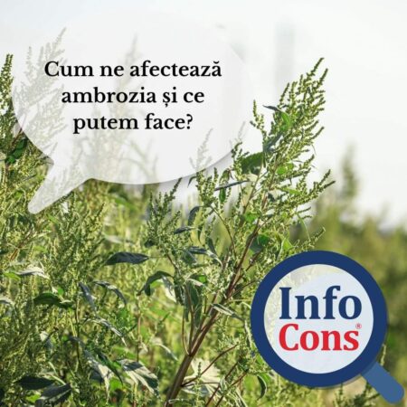 Ambrozia este un real pericol în această perioadă pentru persoanele cu astm și alte probleme Ambrozia este un real pericol în această perioadă pentru persoanele cu astm și alte probleme, una dintre caracteristicile