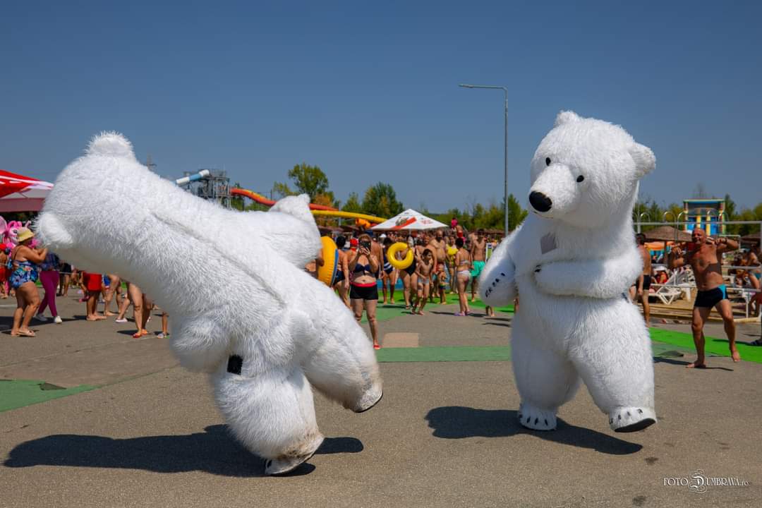 Complexul Turistic de Natație Târgoviște a sărbătorit 8 ani de existență, marcând un moment important în peisajul turistic al României. Situat în inima orașului Târgoviște, complexul a devenit un punct de referință pentru iubitorii de relaxare și distracție.