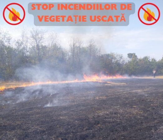 APEL către cetățeni: STOP INCENDIILOR DE VEGETAȚIE, în ultimele 24 de ore echipajele noastre au intervenit pentru stingerea a 9 incendii