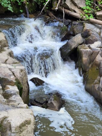 Imaginile zilei: Cascade de pe pârâul Bărzăuța și păduri administrate de Ocolul Silvic Dărmănești din cadrul Direcției Silvice Bacău, în U.P. III Bărzăuța. Imaginile zilei sunt cu Cascade de pe pârâul Bărzăuța și păduri administrate de Ocolul Silvic Dărmănești din cadrul Direcției Silvice Bacău, în U.P. III Bărzăuța.