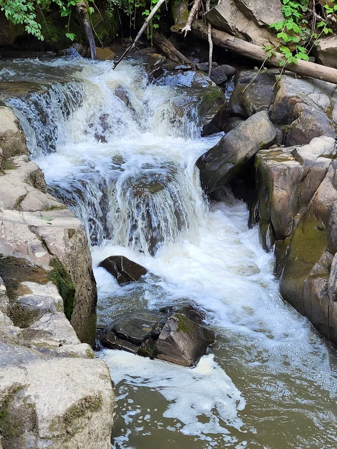 Imaginile zilei sunt cu  Cascade de pe pârâul Bărzăuța și păduri administrate de Ocolul Silvic Dărmănești din cadrul Direcției Silvice Bacău, în U.P. III Bărzăuța.
