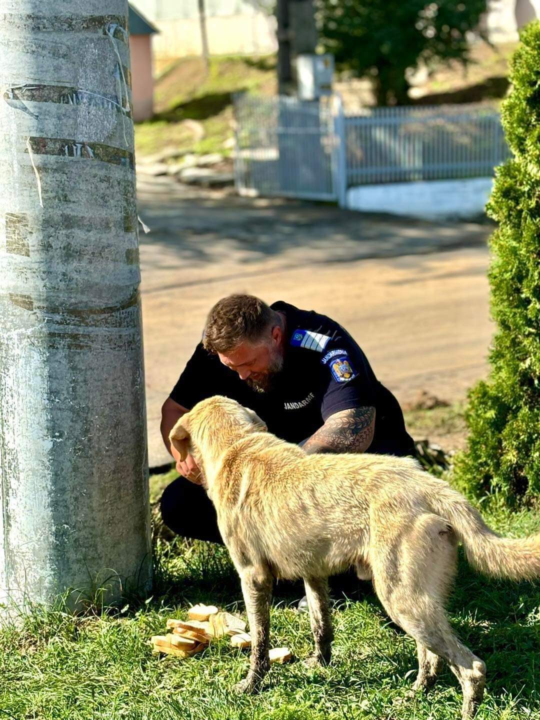 Imaginea zilei: Jandarmul Cătălin a fost surprins în timp ce împărțea pachetul său cu un câine care reușise să supraviețuiască apelor