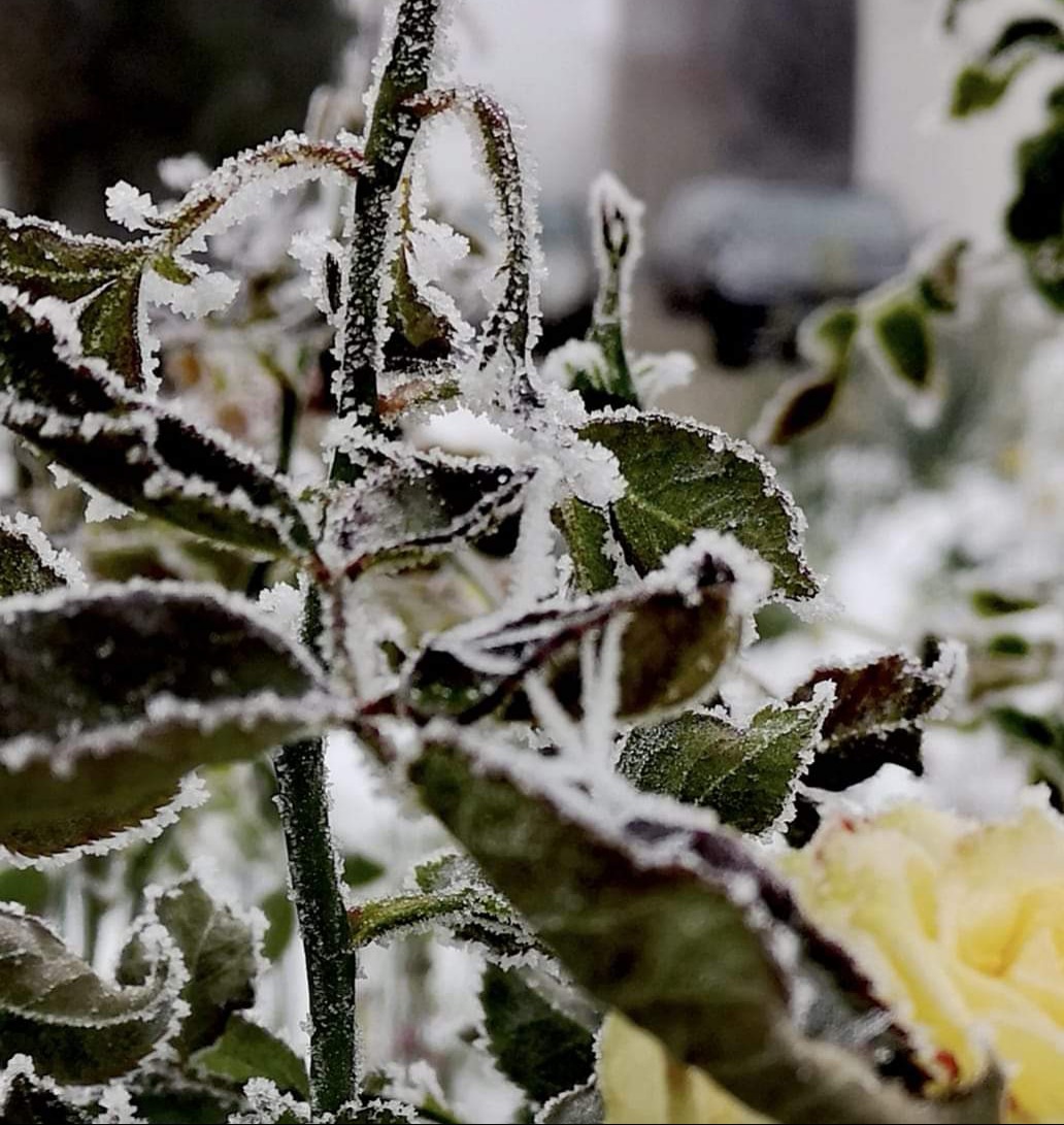 Temperaturi negative, în această dimineață, țara noastră s-a trezit sub influența unei mase de aer rece, aducând temperaturi negative în mai multe regiuni.