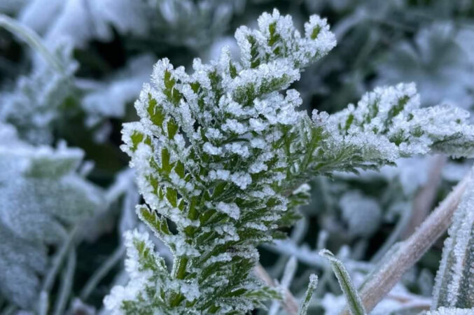 AVERTISMENT METEOROLOGIC: TEMPERATURI FOARTE SCĂZUTE ȘI LA NOAPTE, ÎNGHEȚ ÎN TOATĂ ȚARA AVERTISMENT METEOROLOGIC: TEMPERATURI FOARTE SCĂZUTE ȘI LA NOAPTE, ÎNGHEȚ ÎN TOATĂ ȚARA, meteorologii au emis un avertisment