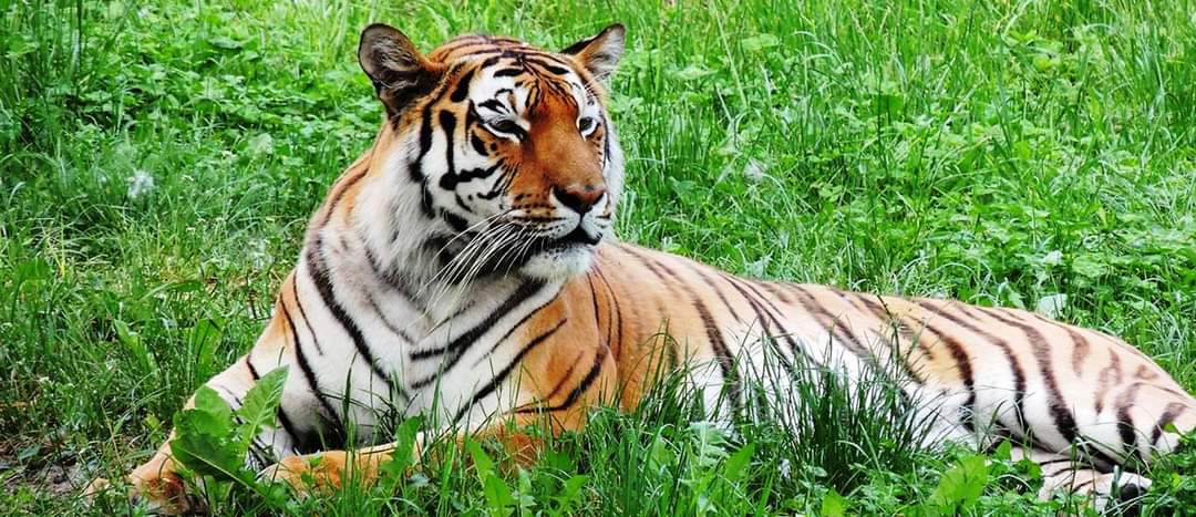 Entuziasm și descoperiri la Zoo Târgoviște, vineri, 25 octombrie, Grădina Zoo Târgoviște a fost locul ideal pentru un nou eveniment din cadrul