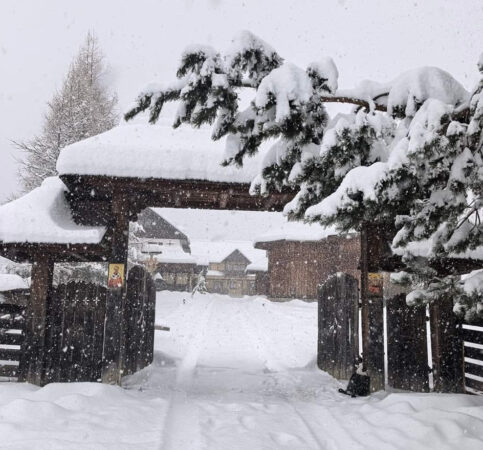 Bucovina în haina de nea, o iarnă de poveste Bucovina, una dintre cele mai pitorești regiuni ale României, se transformă într-un adevărat basm de iarnă, iar frumusețea