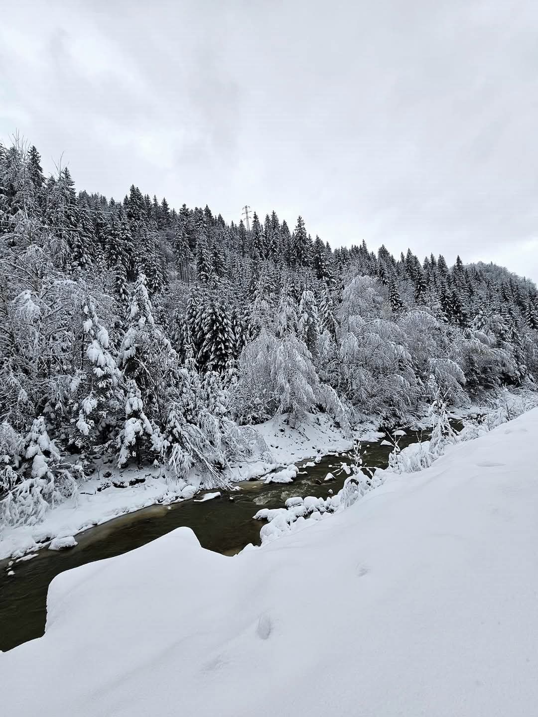 Imaginile zilei vin din Parcul Natural Muntii Maramureșului - o splendoare de neuitat,în nordul României, un loc de poveste prinde viață iarna