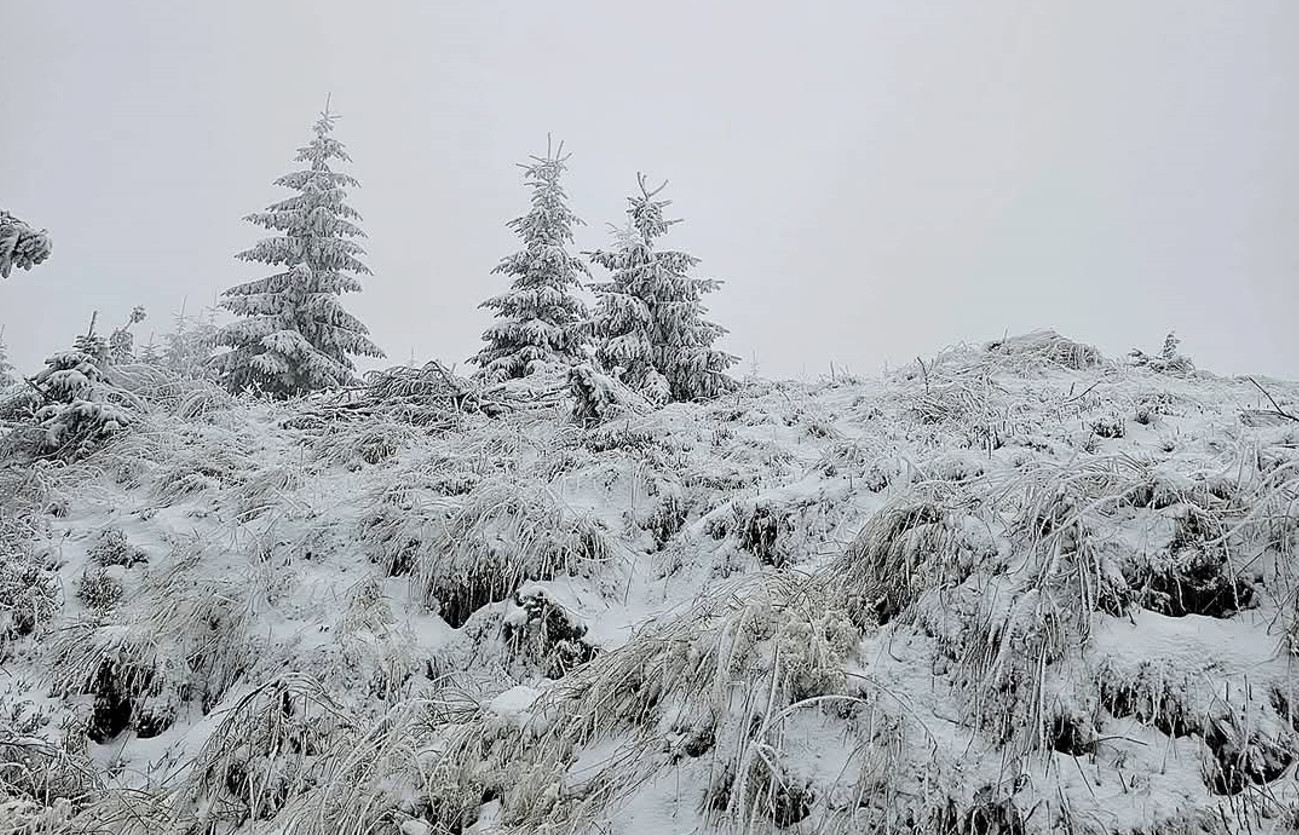 Imaginile zilei vin din  Parcul Natural Muntii Maramureșului - o splendoare de neuitat,în nordul României, un loc de poveste prinde viață iarna