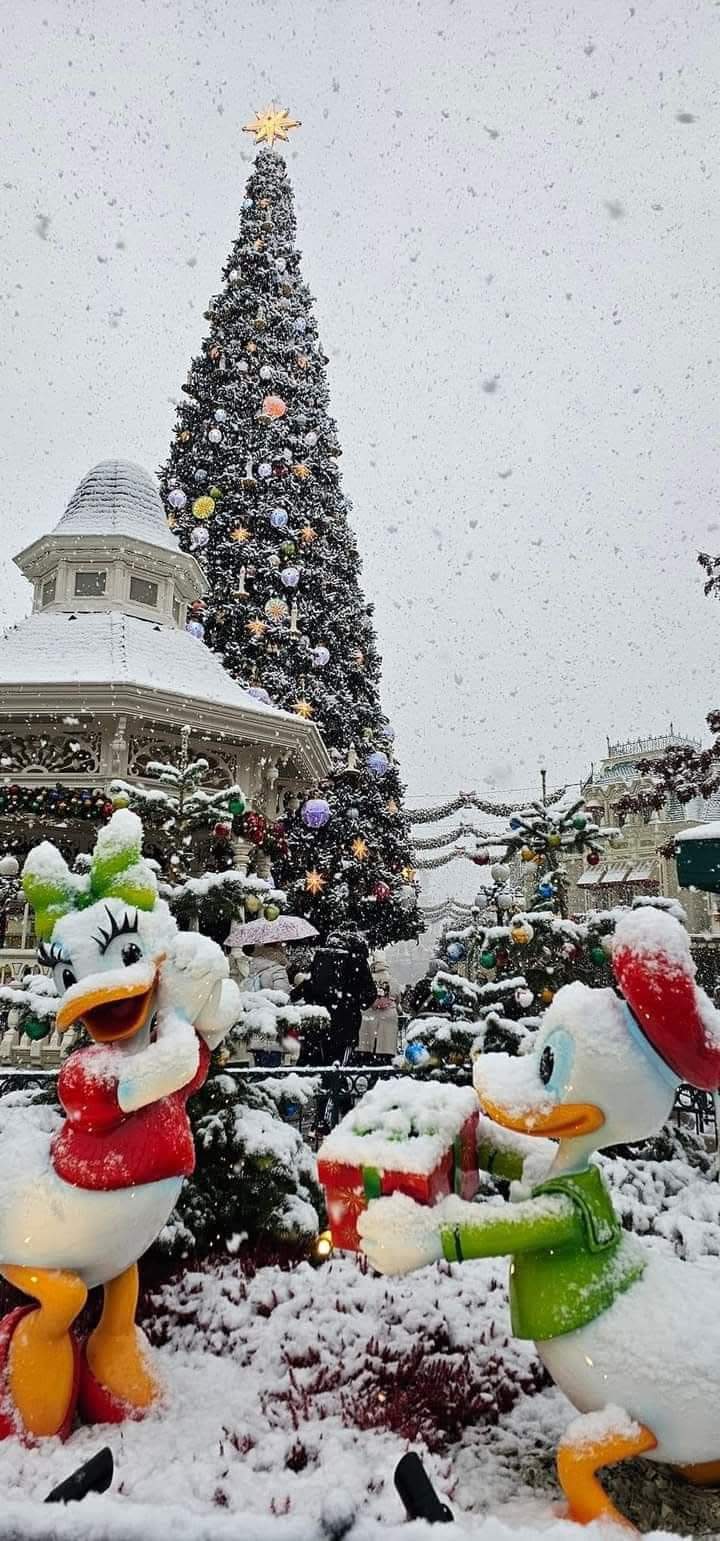 Magia Disneyland Paris sub zăpadă este cu adevărat un spectacol de neuitat! Când parcul este acoperit de un strat alb, aerul devine și mai fermecător