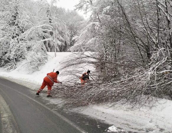 Îndepărtarea arborilor cu risc de prăbușire pe DN 17C din județul Maramureș, din cauza zăpezii, prezintă risc de prăbușire și pot afecta siguranța circulației. 
