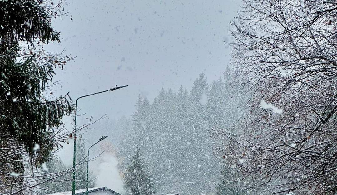 Avertizare de vreme rece și precipitații în Dâmbovița: Primii fulgi de zăpadă așteptați la Târgoviște, marți, 12 noiembrie.