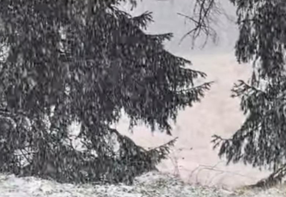 ULTIMA ORĂ:  JUDEȚUL DÂMBOVIȚA este sub COD GALBEN de VÂNT, PLOI ȘI NINSORI în zona montană,  o avertizare valabilă între 10 noiembrie,