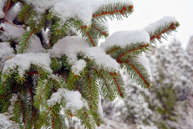 Val de aer polar în toată țara, determinând scăderi drastice ale temperaturilor, chiar și cu 10 grade Celsius față de săptămânile anterioare.