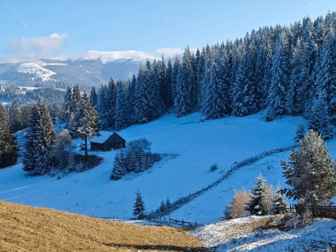 Fundata este un ținut de basm, Munții Bucegi și Piatra Craiului, care străjuiesc localitatea, sunt acoperiți de zăpadă,